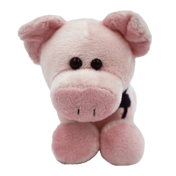 plush pig, u-state bandana